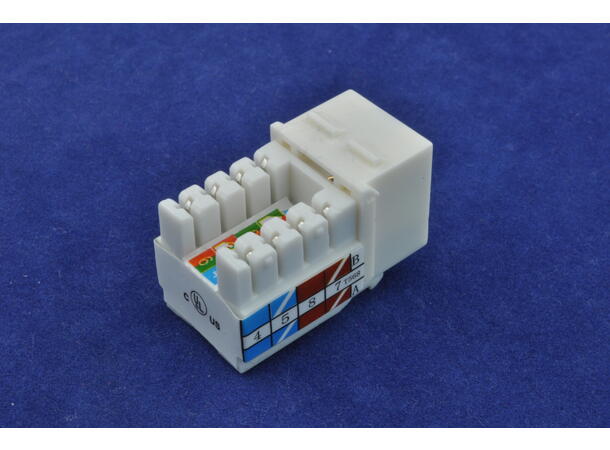 PHS Keystone Cat6 Innsats for PHS WallPlate 
